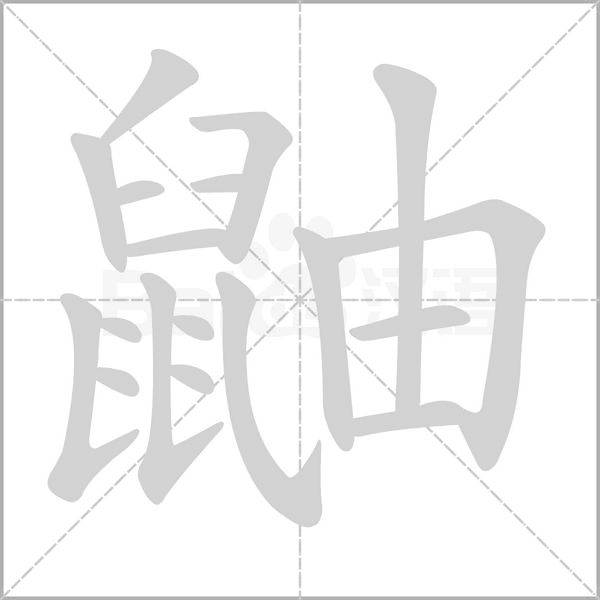 鼬笔顺动图