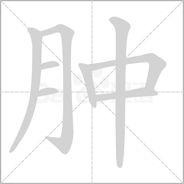 肿笔顺动图