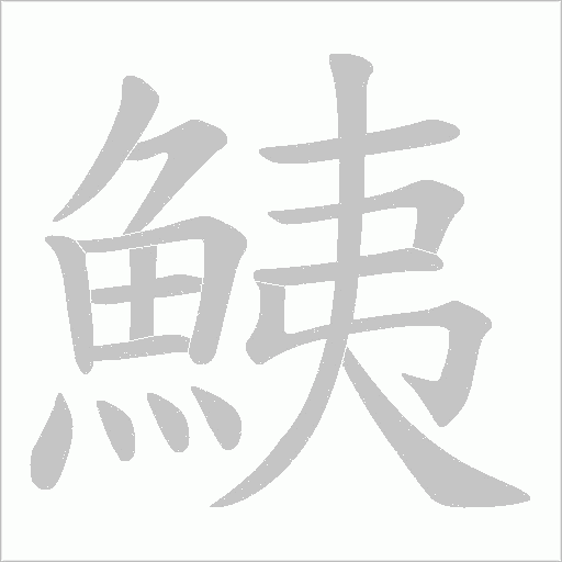 鮧笔顺动图
