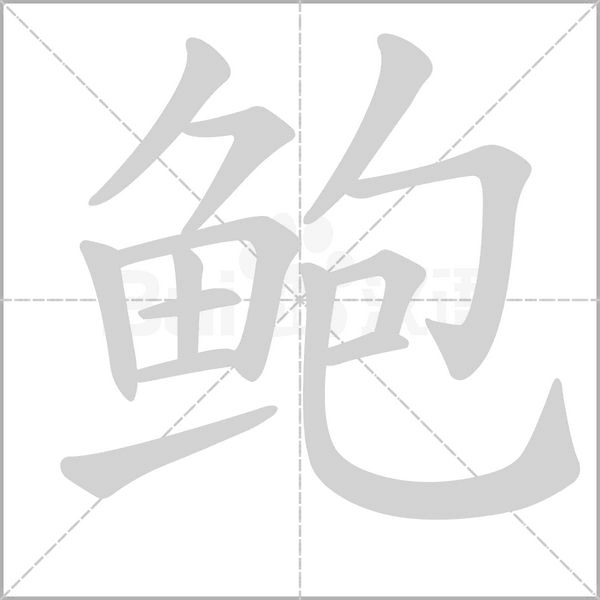 鲍笔顺动图
