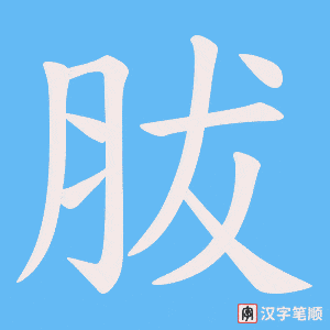 胈笔顺动图