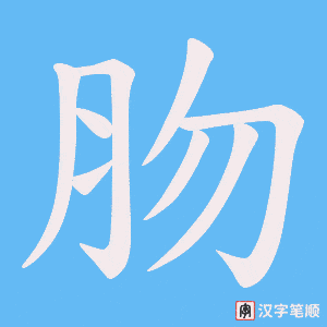 肳笔顺动图