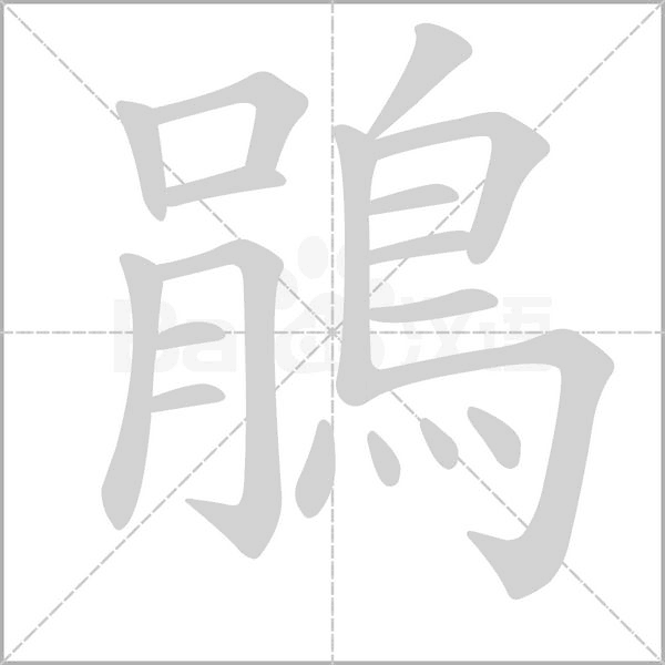 鵑笔顺动图