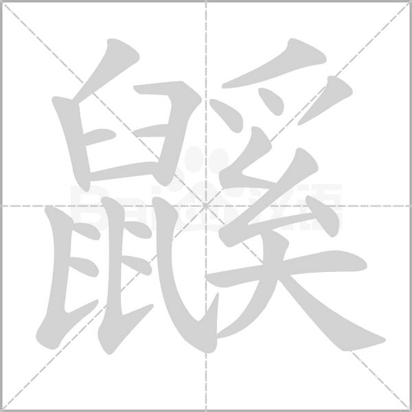 鼷笔顺动图