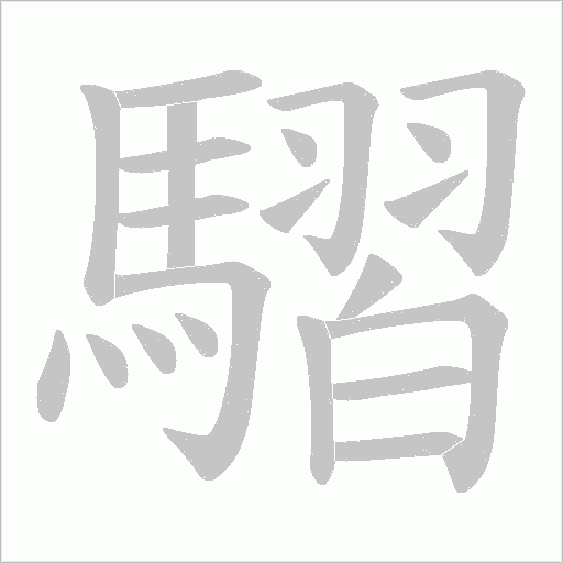 騽笔顺动图