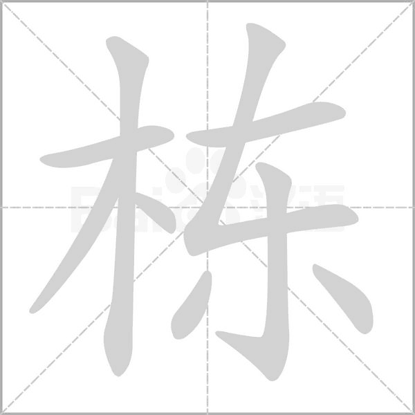 栋笔顺动图