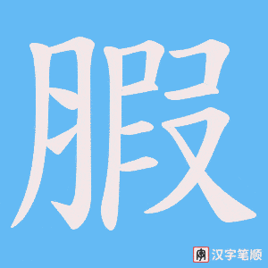 腵笔顺动图