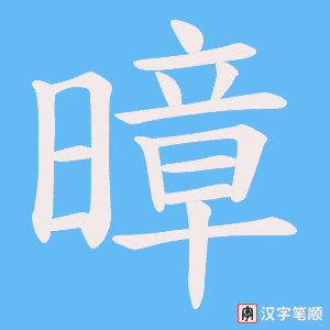 暲笔顺动图