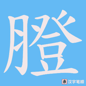 膯笔顺动图