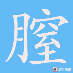 膣笔顺动图