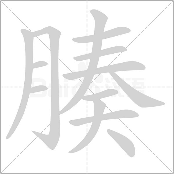 腠笔顺动图