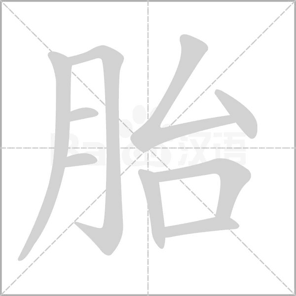 胎笔顺动图