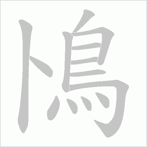 鳪笔顺动图