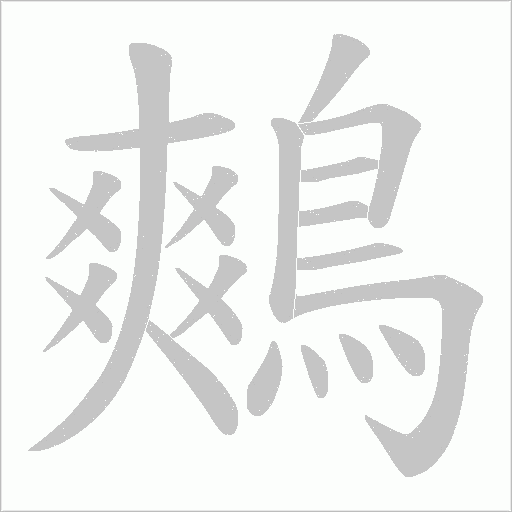 鷞笔顺动图