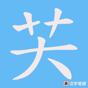 芖笔顺动图