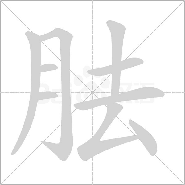 胠笔顺动图