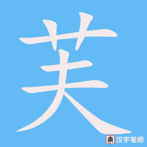 芙笔顺动图