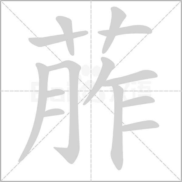 葄笔顺动图