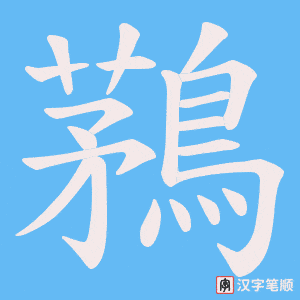 鶜笔顺动图
