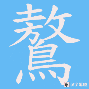 鷔笔顺动图