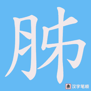 胏笔顺动图