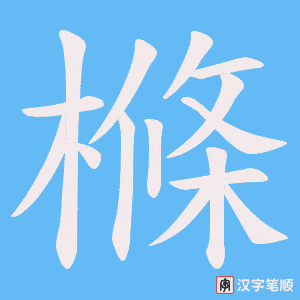 樤笔顺动图
