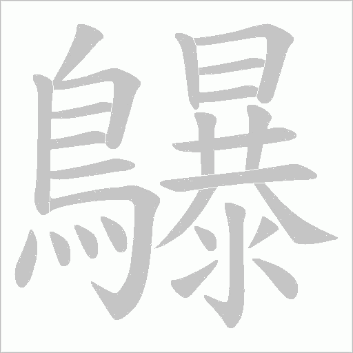 鸔笔顺动图