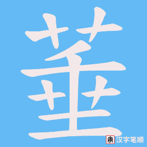 菙笔顺动图