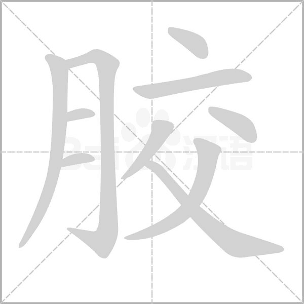 胶笔顺动图