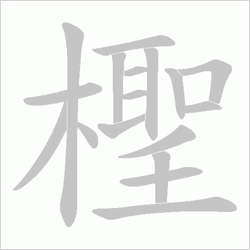 檉笔顺动图