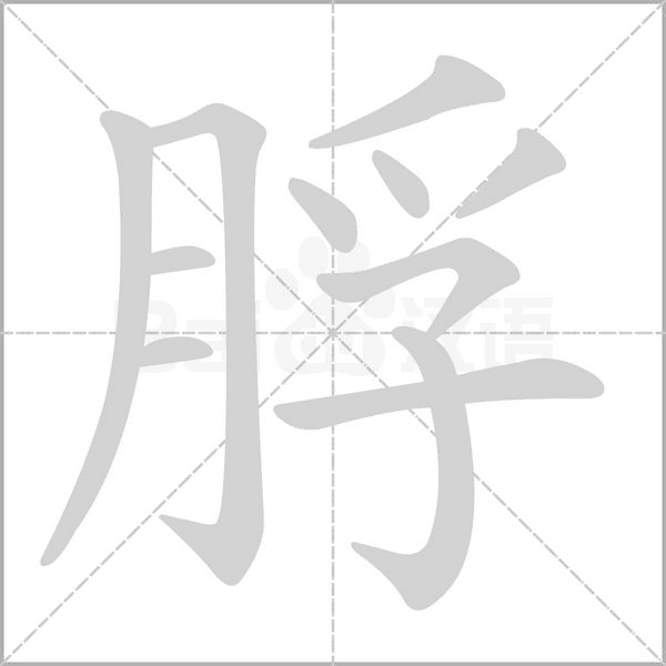 脬笔顺动图