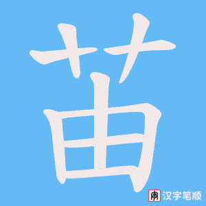 苖笔顺动图