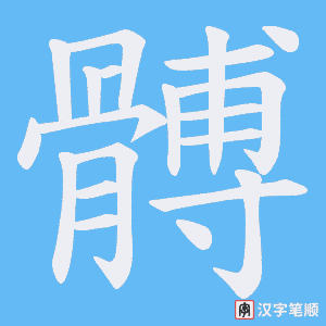 髆笔顺动图