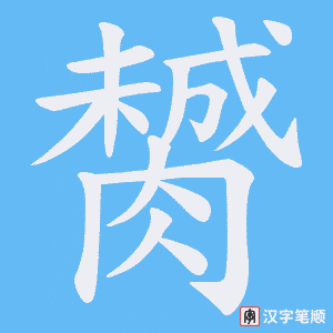 膥笔顺动图