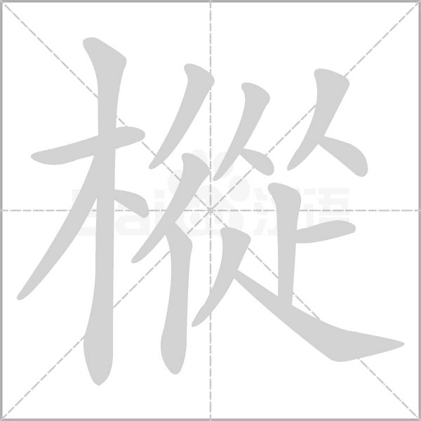 樅笔顺动图
