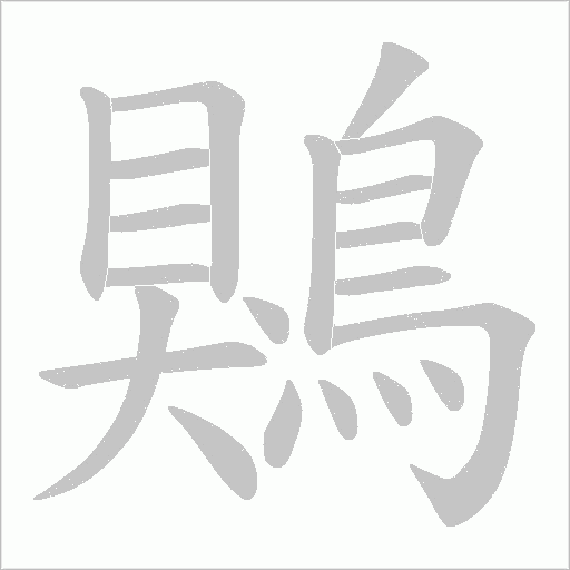 鶪笔顺动图