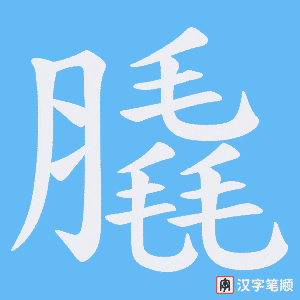 膬笔顺动图