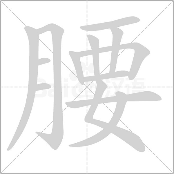 腰笔顺动图