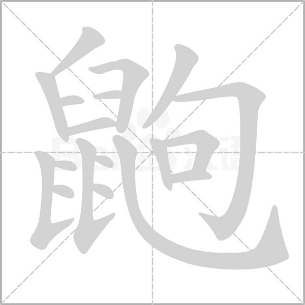 鼩笔顺动图