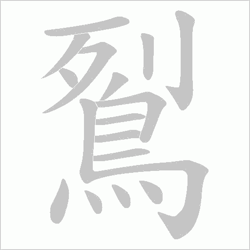 鴷笔顺动图