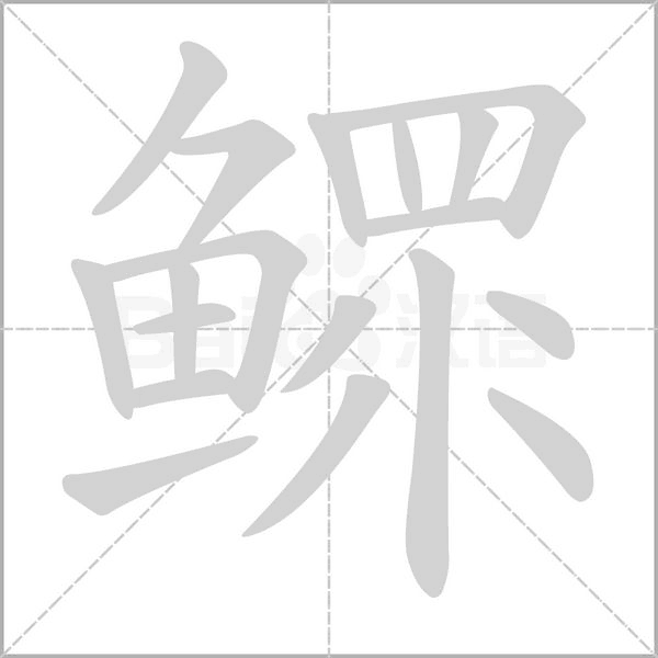 鳏笔顺动图