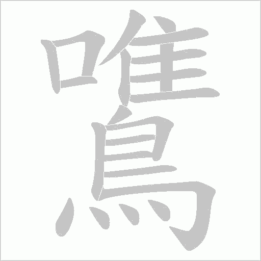 鷕笔顺动图