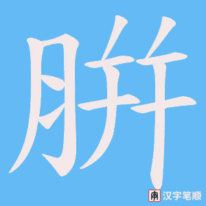 腁笔顺动图