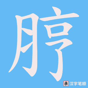脝笔顺动图