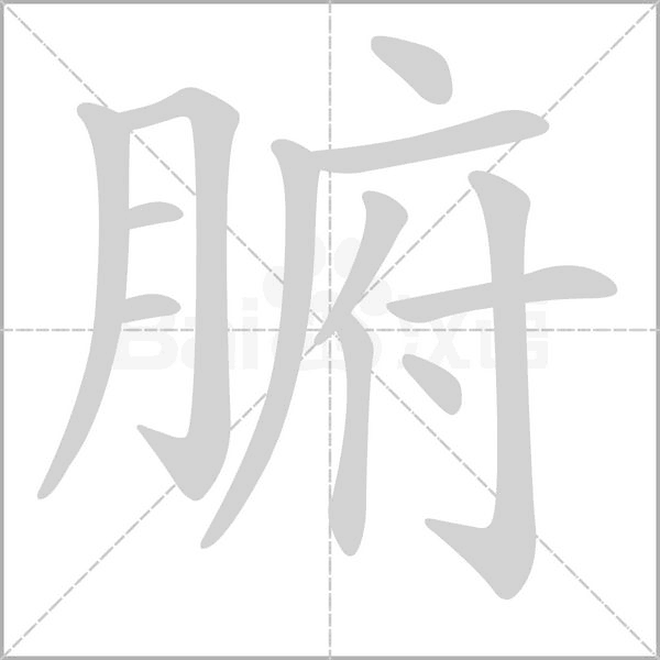 腑笔顺动图