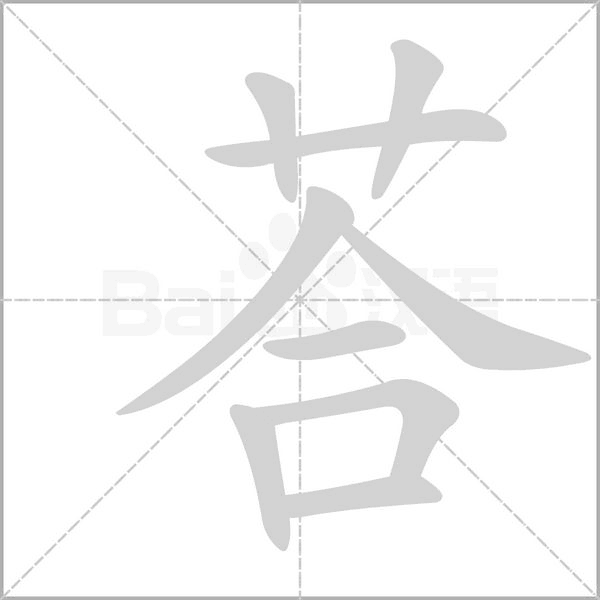 荅笔顺动图