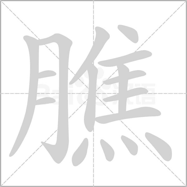 膲笔顺动图