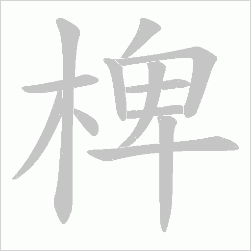 椑笔顺动图