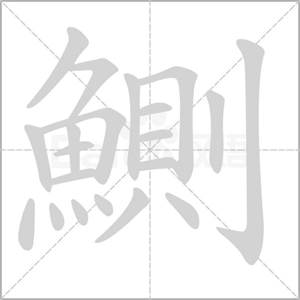 鰂笔顺动图