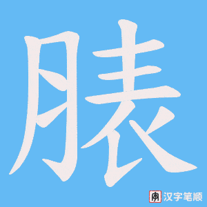 脿笔顺动图